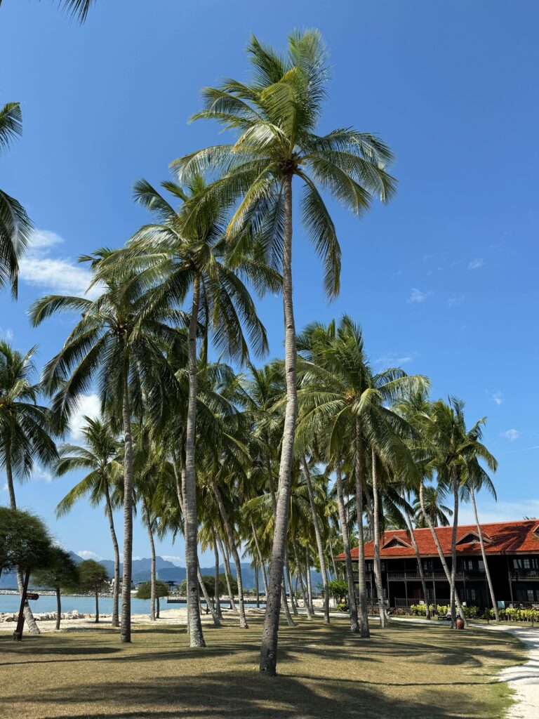 Lush palm trees sway under a clear blue sky near the beach with a tropical vibe.